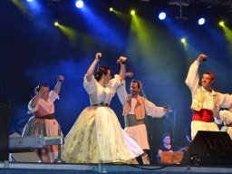 Festival de Folkore en Mula